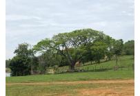 Lotes, Venta, Palmira - $400.000.000