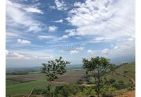 Lotes, Venta, Palmira - $400.000.000