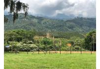 Lotes, Venta, Palmira - $400.000.000