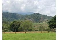 Lotes, Venta, Palmira - $400.000.000