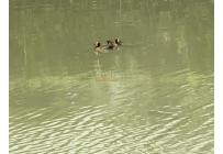 Lotes, Venta, Jamundí - $375.500.000