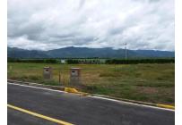 Lotes, Venta, Palmira - $345.000.000