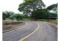 Lotes, Venta, Palmira - $345.000.000