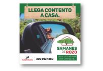 Lotes, Venta, Palmira - $345.000.000