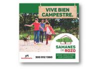 Lotes, Venta, Palmira - $345.000.000