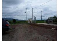 Lotes, Venta, Palmira - $345.000.000