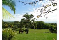 Fincas y Casas Campestres, Venta, El Cerrito - $5.000.000.000