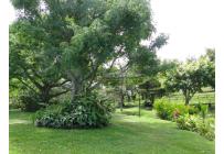 Fincas y Casas Campestres, Venta, El Cerrito - $5.000.000.000