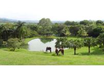 Fincas y Casas Campestres, Venta, El Cerrito - $5.000.000.000