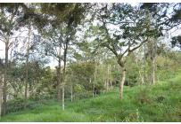 Lotes, Venta, Yumbo - $621.478.000