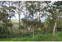 Lotes, Venta, Yumbo - $621.478.000