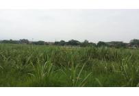 Lotes, Venta, Palmira - $3.500.000.000