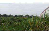 Lotes, Venta, Palmira - $3.500.000.000