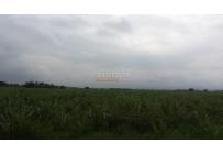 Lotes, Venta, Palmira - $3.500.000.000