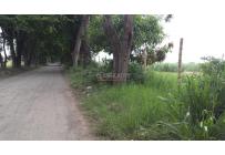 Lotes, Venta, Palmira - $3.500.000.000
