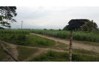 Lotes, Venta, Palmira - $3.500.000.000