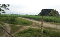 Lotes, Venta, Palmira - $3.500.000.000