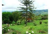 Fincas y Casas Campestres, Venta, Dagua - $1.200.000.000
