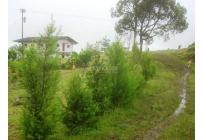 Fincas y Casas Campestres, Venta, Dagua - $1.200.000.000