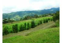 Fincas y Casas Campestres, Venta, Dagua - $1.200.000.000