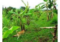 Fincas y Casas Campestres, Venta, Dagua - $1.200.000.000