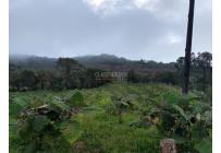 Fincas y Casas Campestres, Venta, Dagua - $1.200.000.000