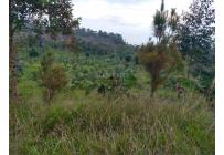 Fincas y Casas Campestres, Venta, Dagua - $1.200.000.000