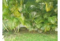Casas, Venta, Santa Teresita - $1.500.000
