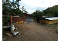 Fincas y Casas Campestres, Venta, Guacarí - $1.100.000.000