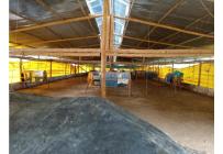 Fincas y Casas Campestres, Venta, Guacarí - $1.100.000.000