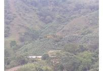 Fincas y Casas Campestres, Venta, Guacarí - $1.100.000.000