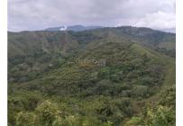 Fincas y Casas Campestres, Venta, Guacarí - $1.100.000.000