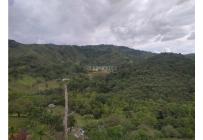 Fincas y Casas Campestres, Venta, Guacarí - $1.100.000.000