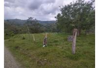 Fincas y Casas Campestres, Venta, Guacarí - $1.100.000.000