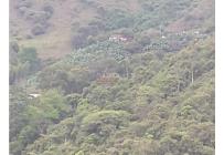Fincas y Casas Campestres, Venta, Guacarí - $1.100.000.000