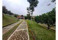 Fincas y Casas Campestres, Venta, Calima (Darién) - $790.000.000