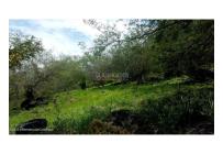 Lotes, Venta, Pinchote - $100.000.000
