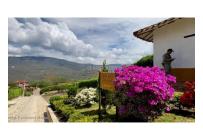 Lotes, Venta, Pinchote - $100.000.000