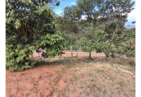 Lotes, Venta, Dapa - $580.000.000