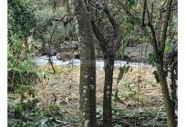 Lotes, Venta, Pance - $2.137.000.000