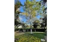 Casas, Venta, Pereira - $355.000.000