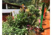 Casas, Venta, Bochalema - $4.000.000.000