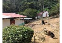 Casas, Venta, Bochalema - $4.000.000.000