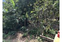Casas, Venta, Bochalema - $4.000.000.000