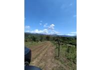 Lotes, Venta, Dagua - $57.000.000
