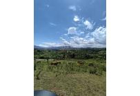 Lotes, Venta, Dagua - $57.000.000