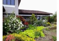 Fincas y Casas Campestres, Venta, Dagua - $620.000.000