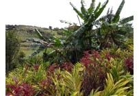 Fincas y Casas Campestres, Venta, Dagua - $620.000.000