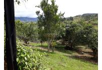 Fincas y Casas Campestres, Venta, Dagua - $620.000.000