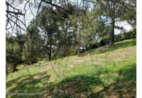 Lotes, Venta, Jamundí - $200.000.000